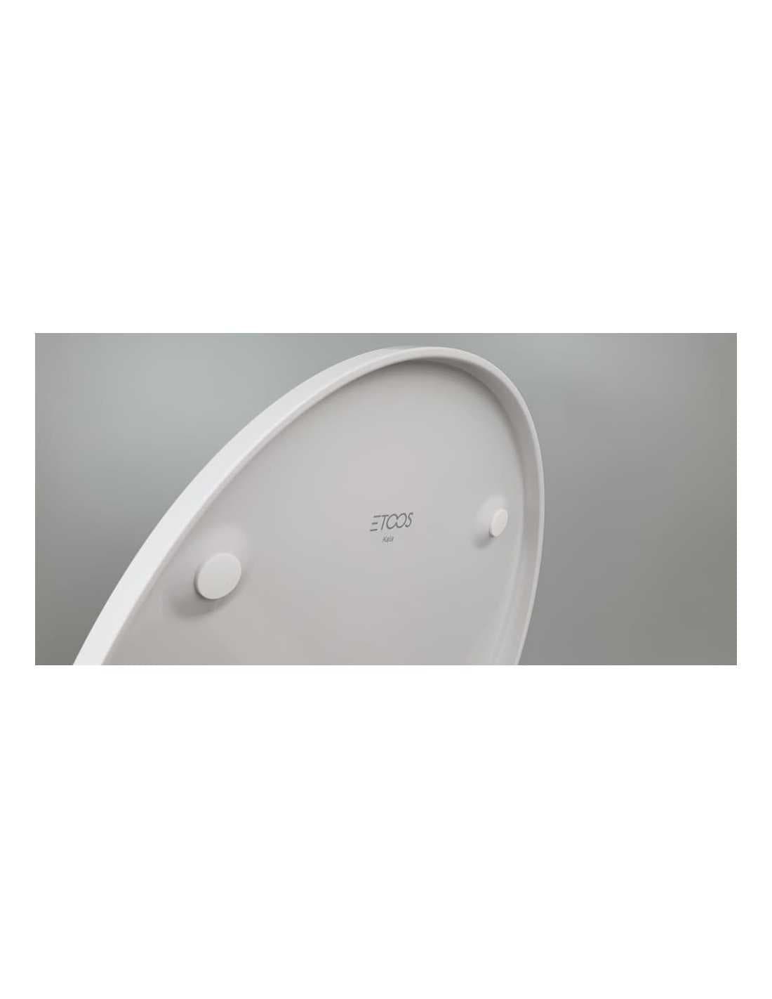 tapa-wc-duroplast-record-de-bellavista-blanca (3)