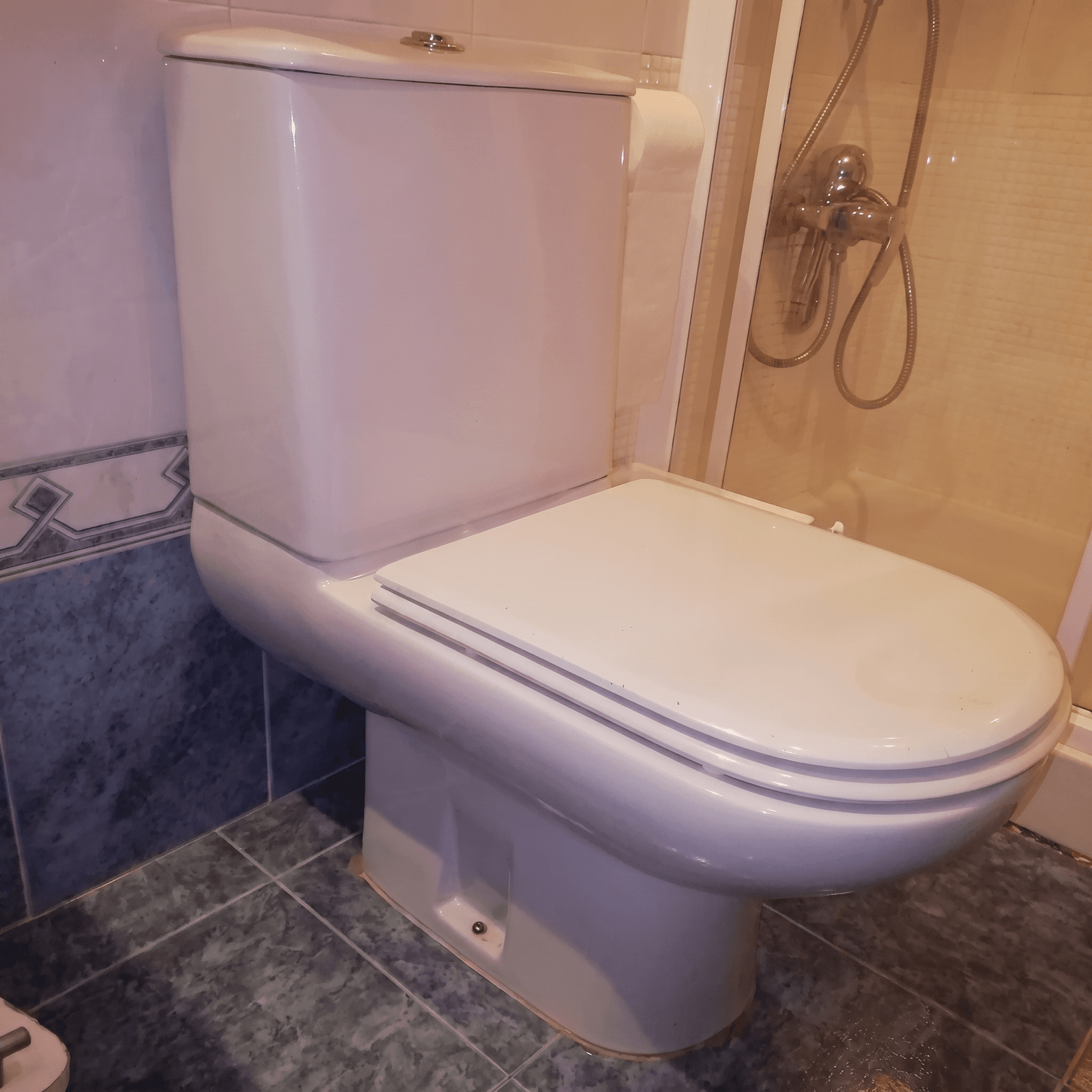 Tapa WC Compatible Delta de Sangrá