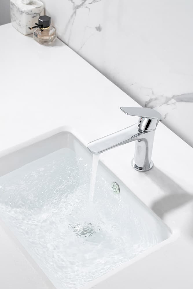 Grifo Monomando de Lavabo NATURE Cromo