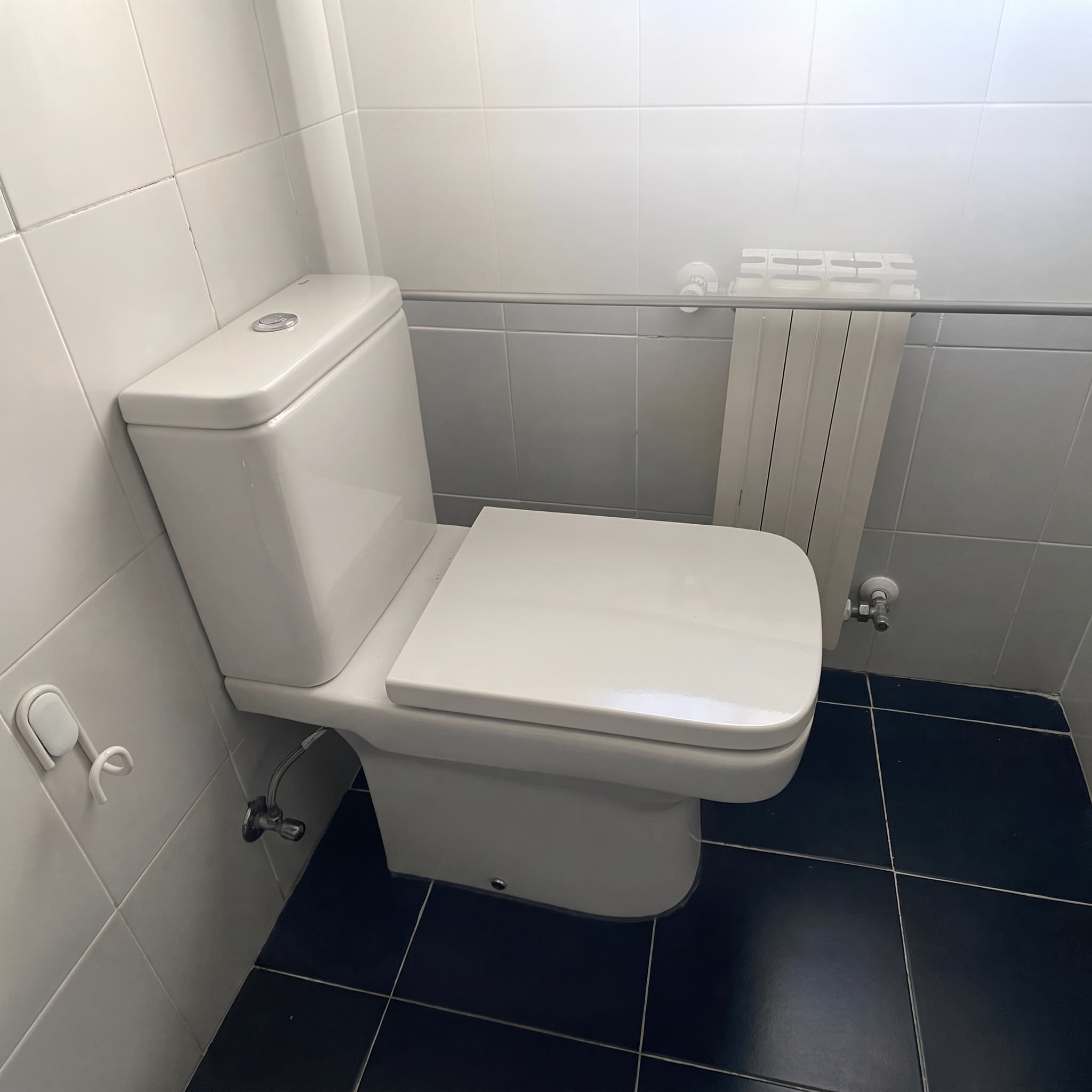 Tapa Wc compatible Dama Compact de Roca