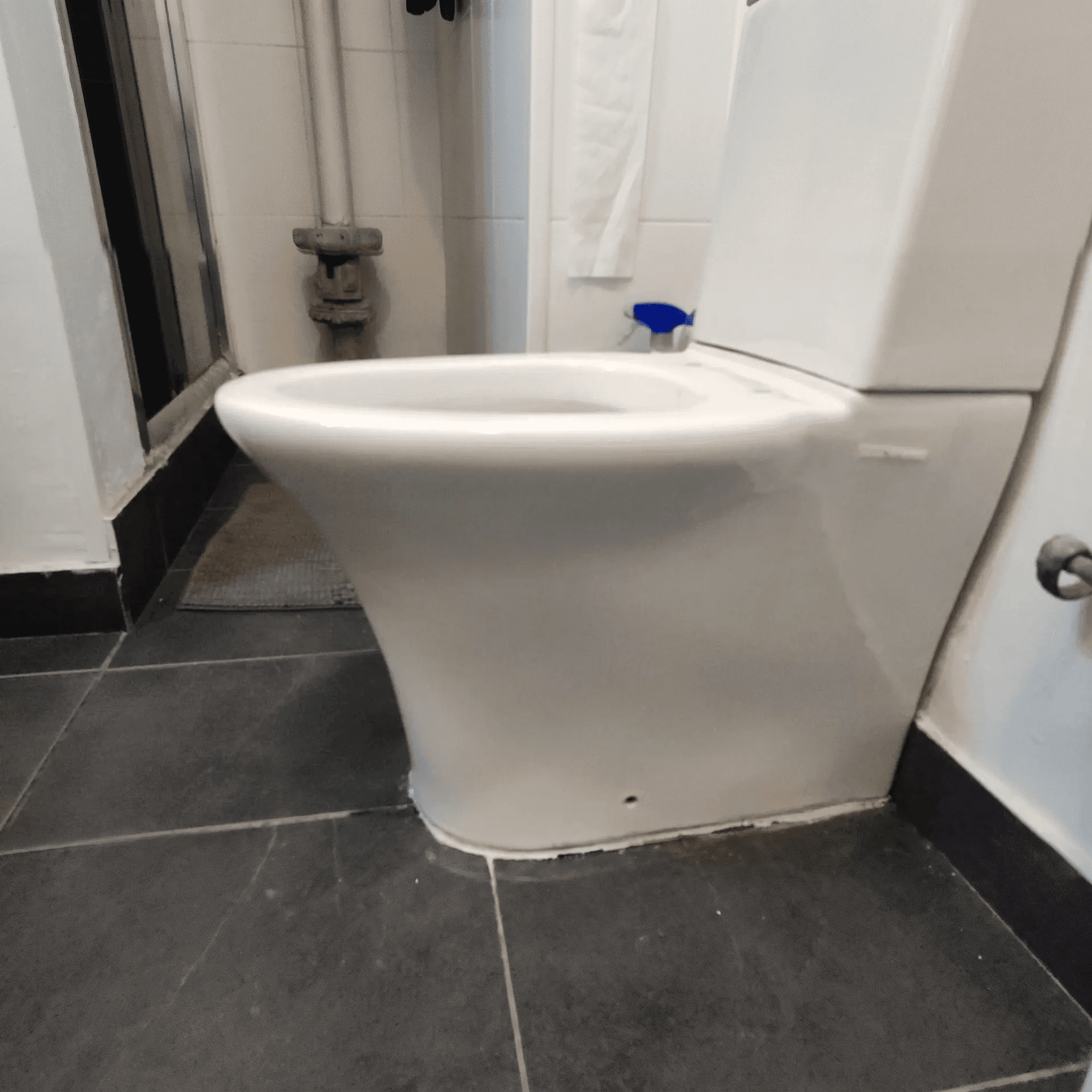 Tapa WC compatible Ibiza de BATHCO