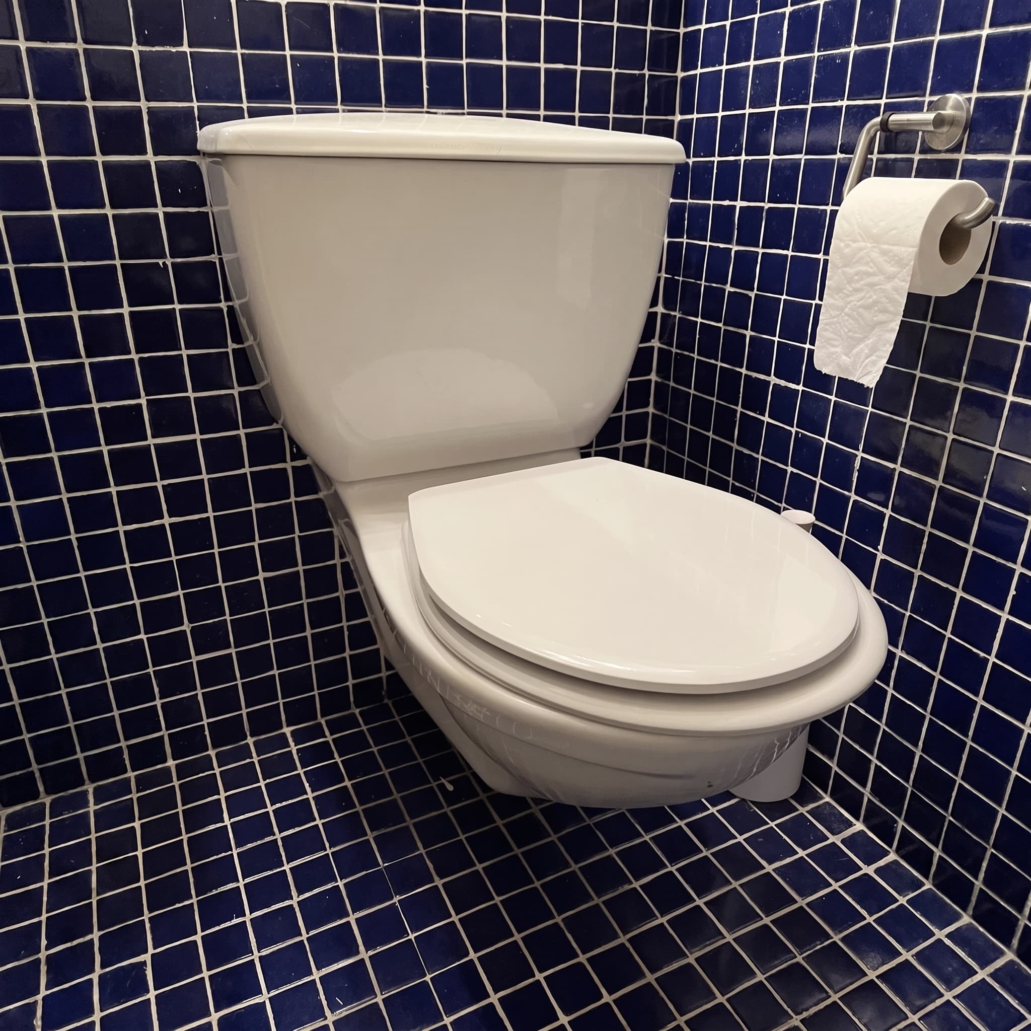 Tapa WC Compatible Suspendido Tanque Bajo de Sangrá