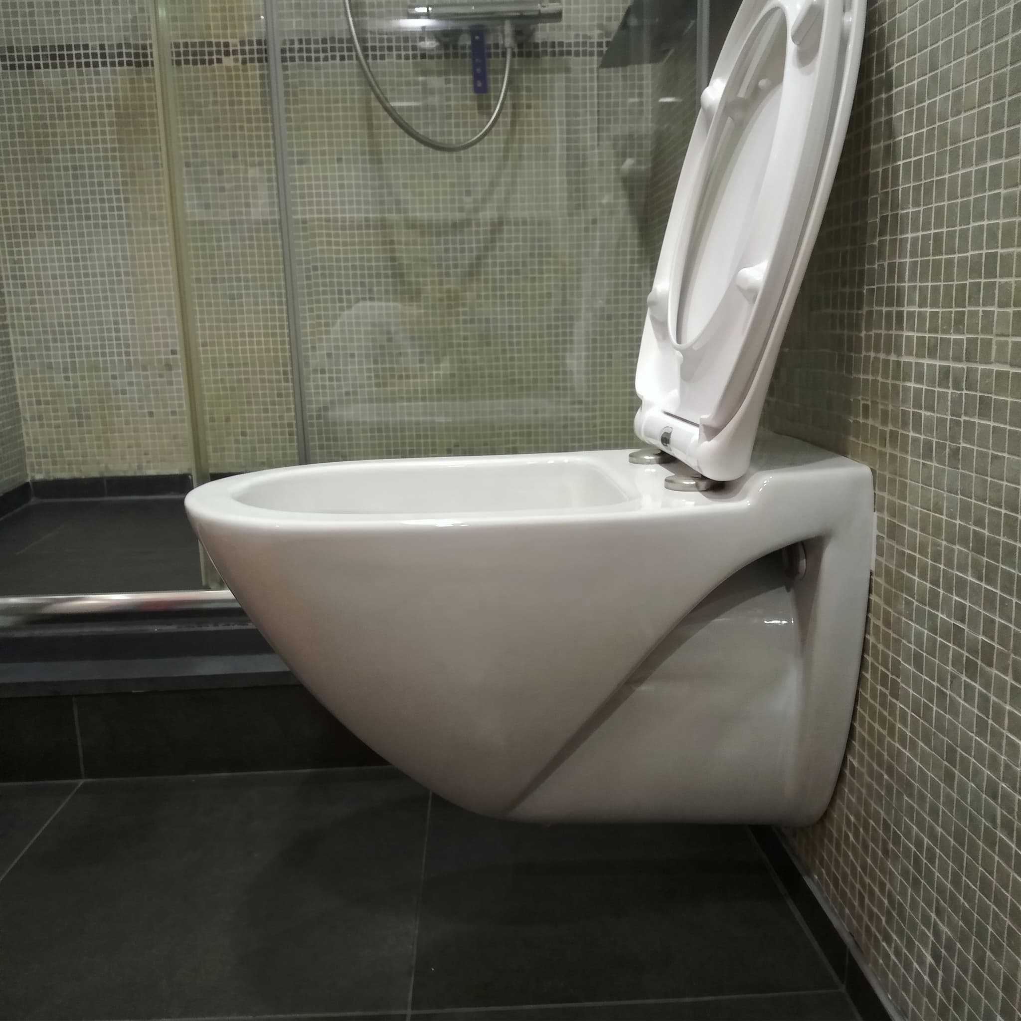 Tapa compatible Wc Duroplast Europa suspendido de Sangrá blanca