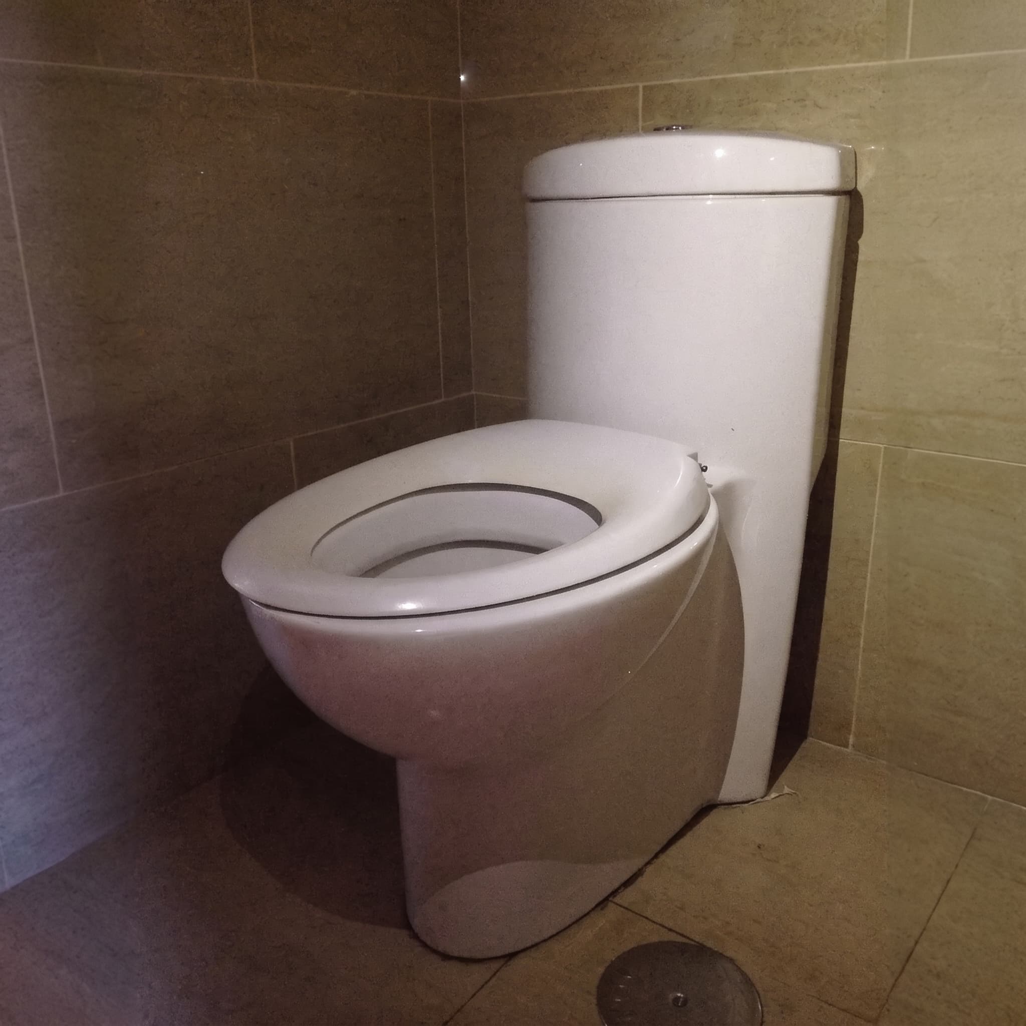 Tapa wc compatible Expression de Ideal Standard