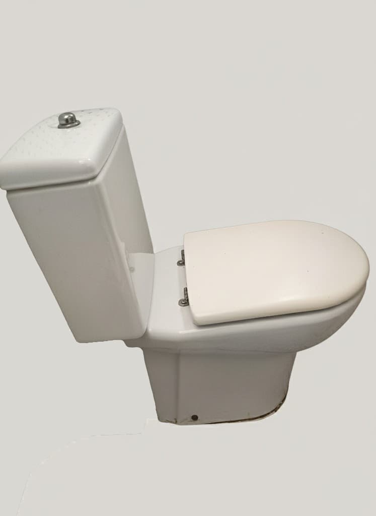 Tapa Wc compatible Meridian de Roca