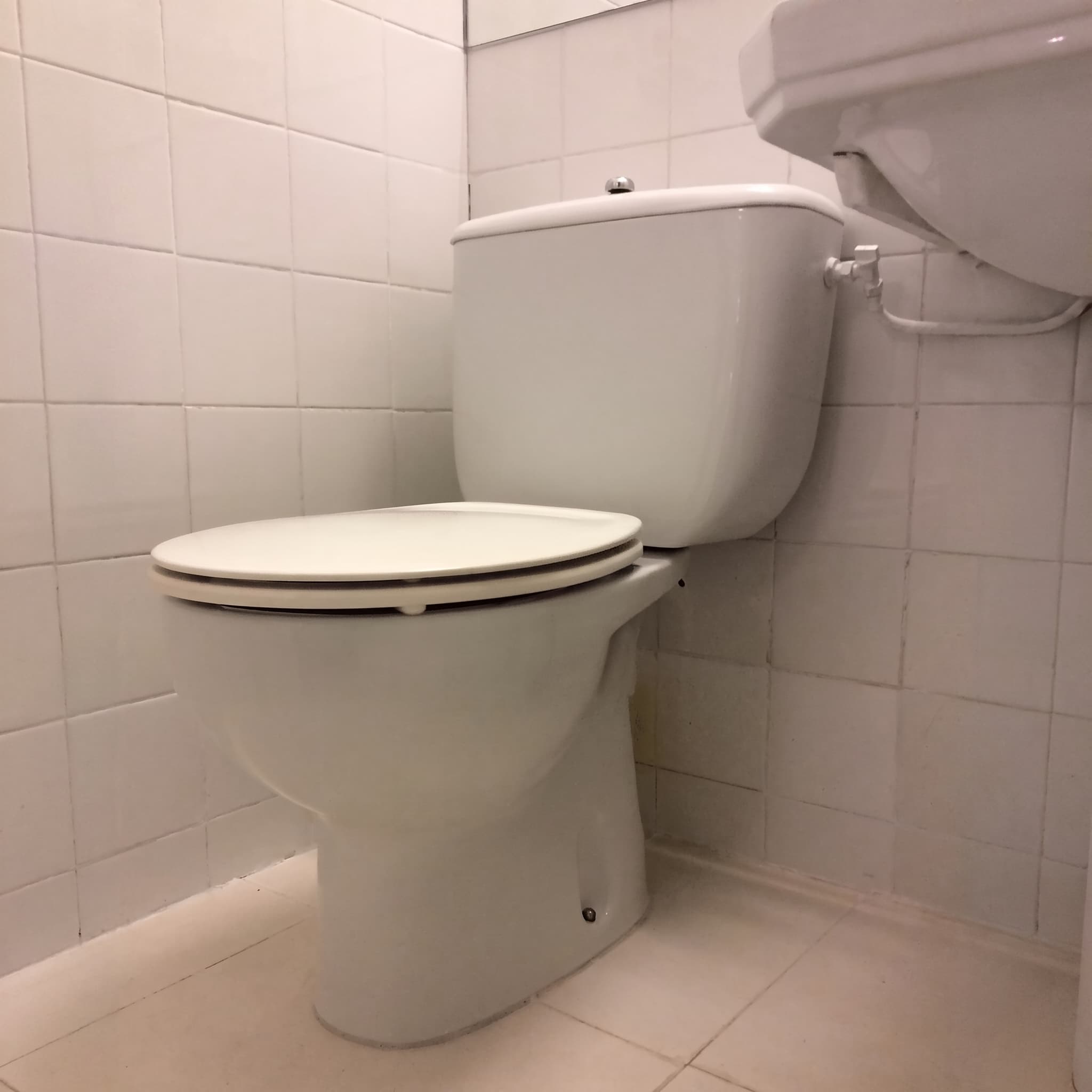 Tapa Wc compatible Victoria de Roca