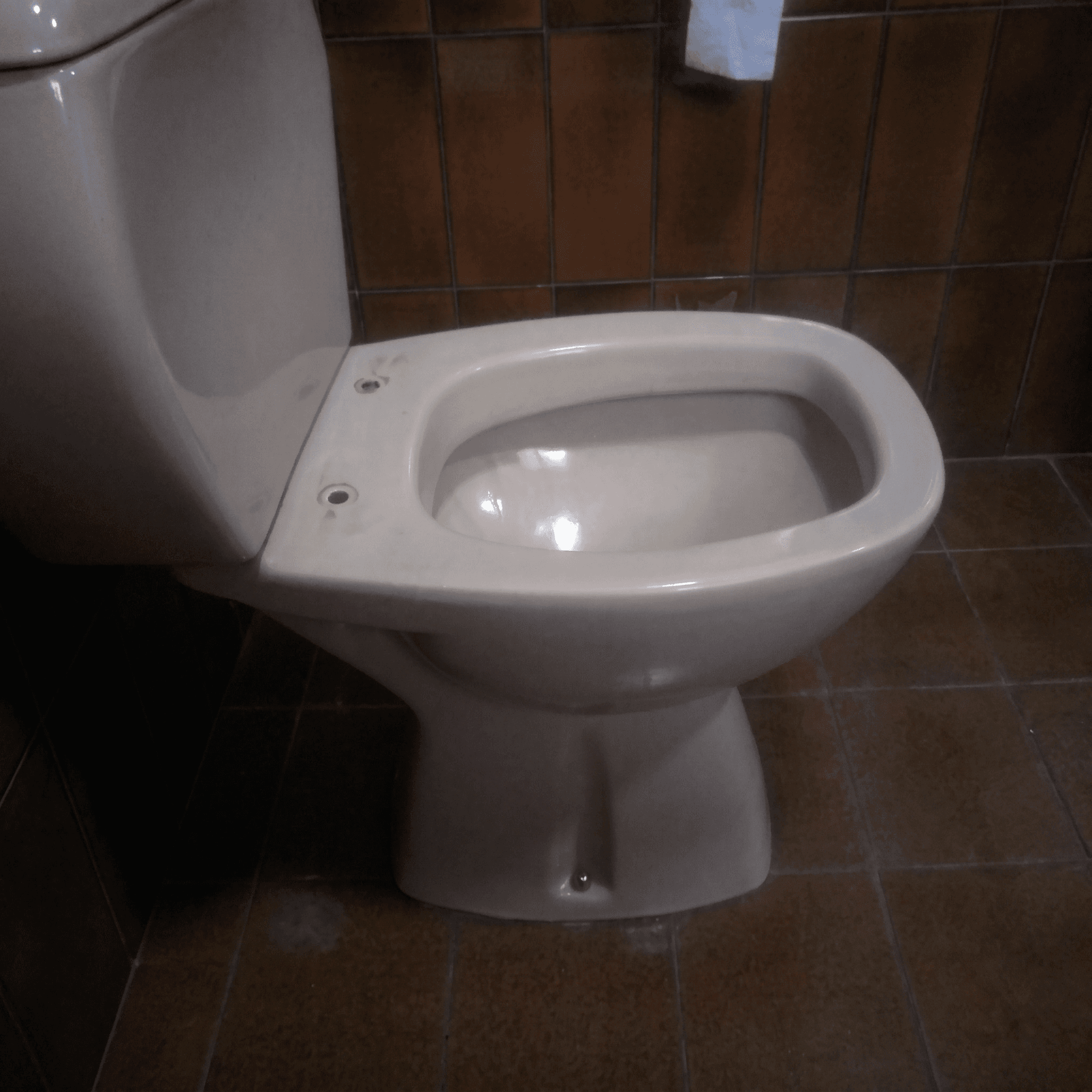Tapa Wc compatible Festa de Jacob delafon