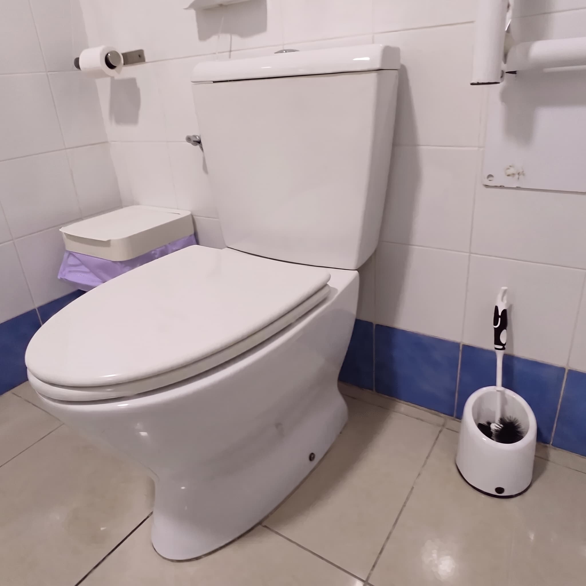 Tapa Wc compatible Jazz de Sanitana