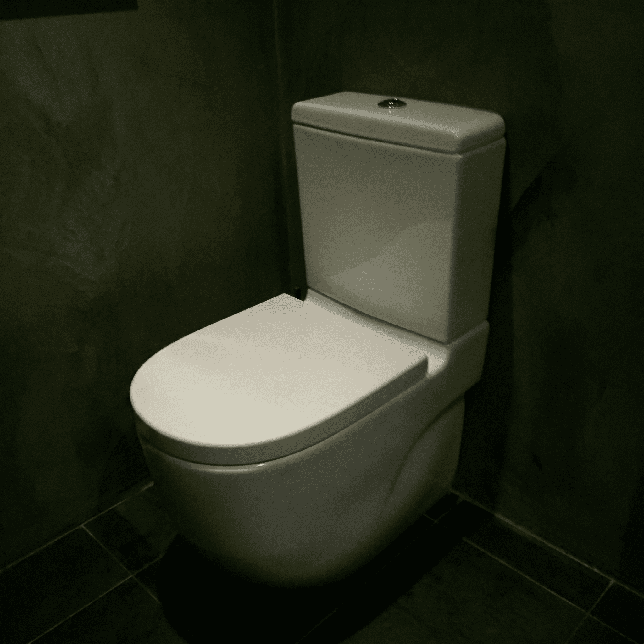 Tapa Wc compatible Meridian New de Roca