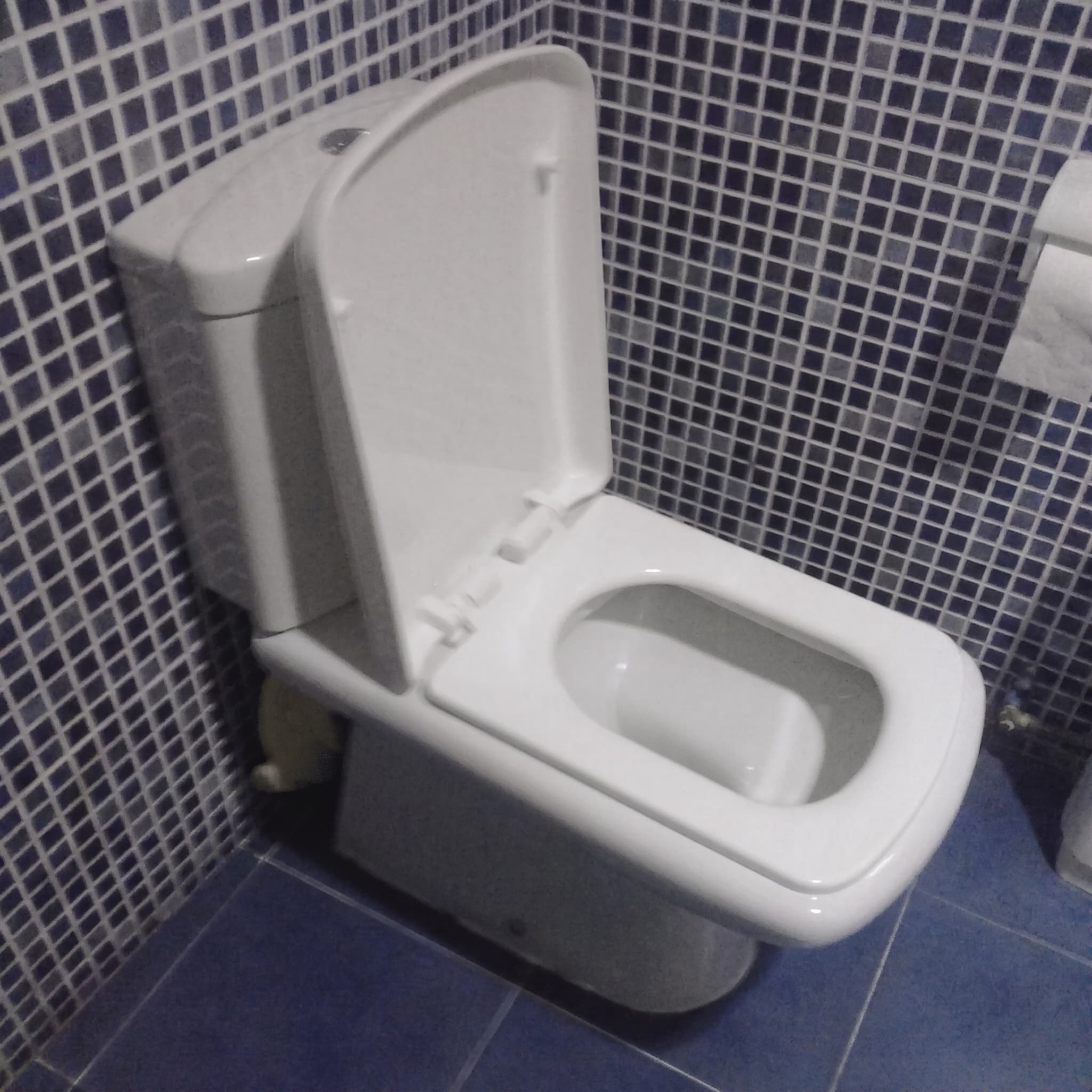 Tapa Wc compatible Sidney de Roca
