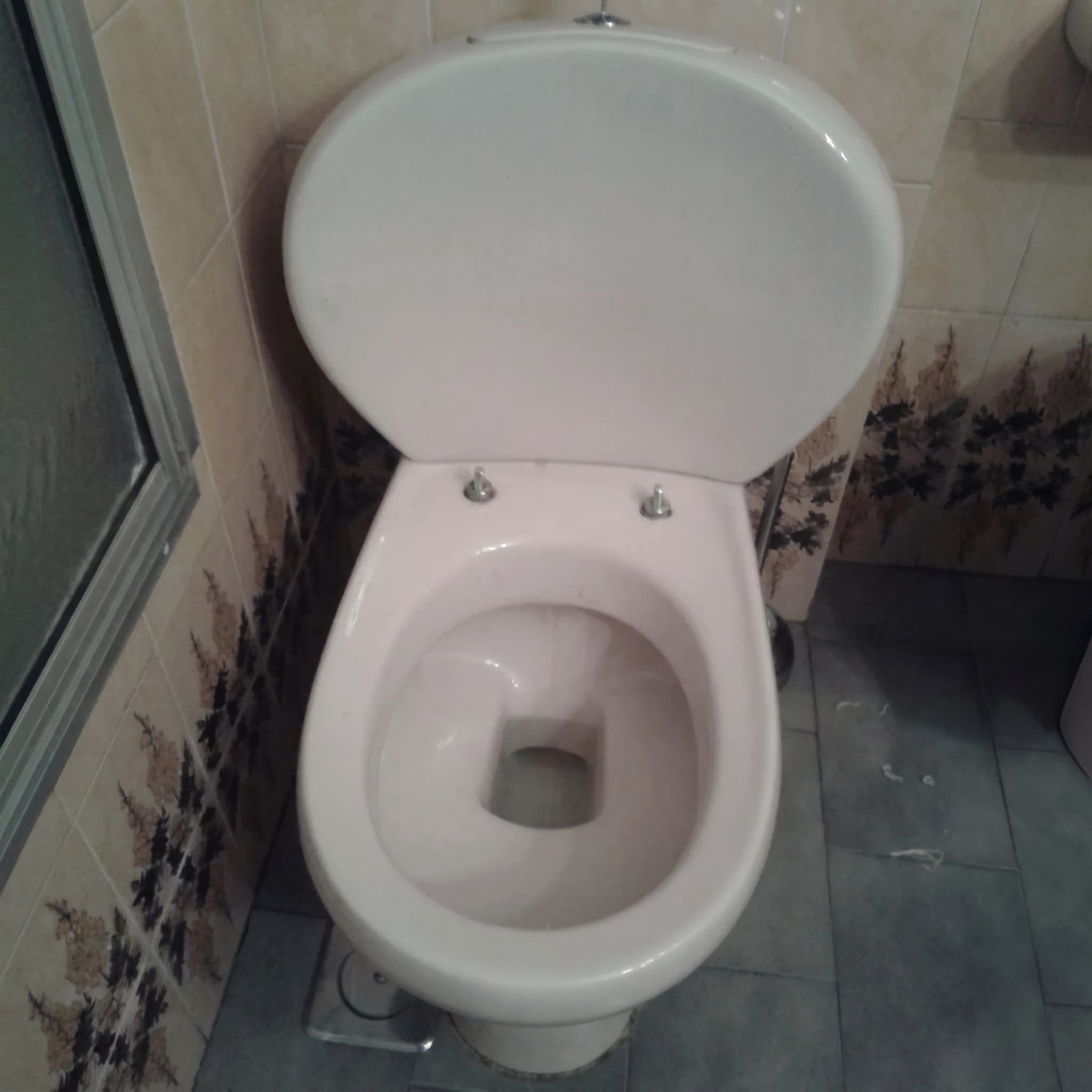Tapa Wc compatible Turia de Jacob delafon