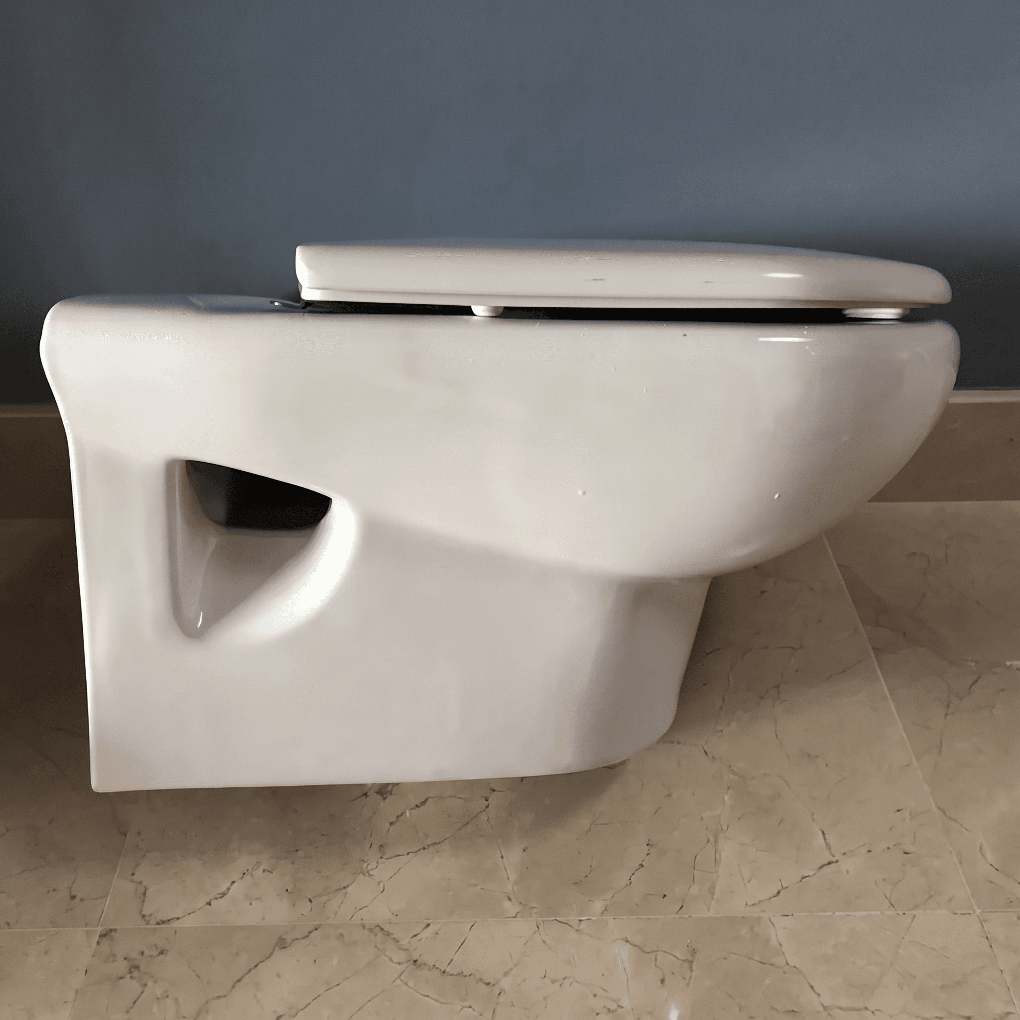 Tapa Wc compatible Meridian Compacto de Roca