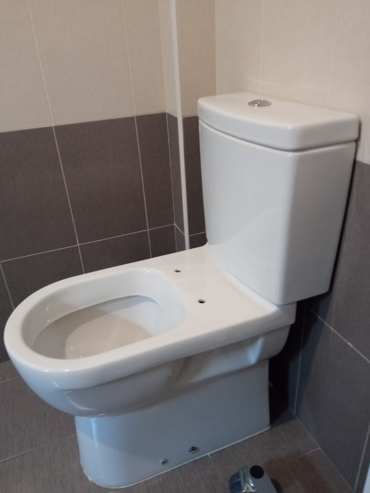 Tapa wc Blue de Gala Compatible Etoos
