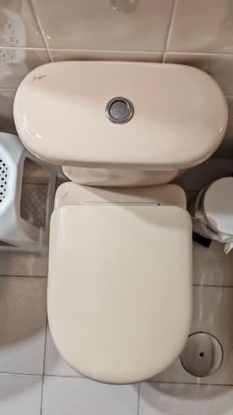 Tapa WC Compatible Domo de Sangrá