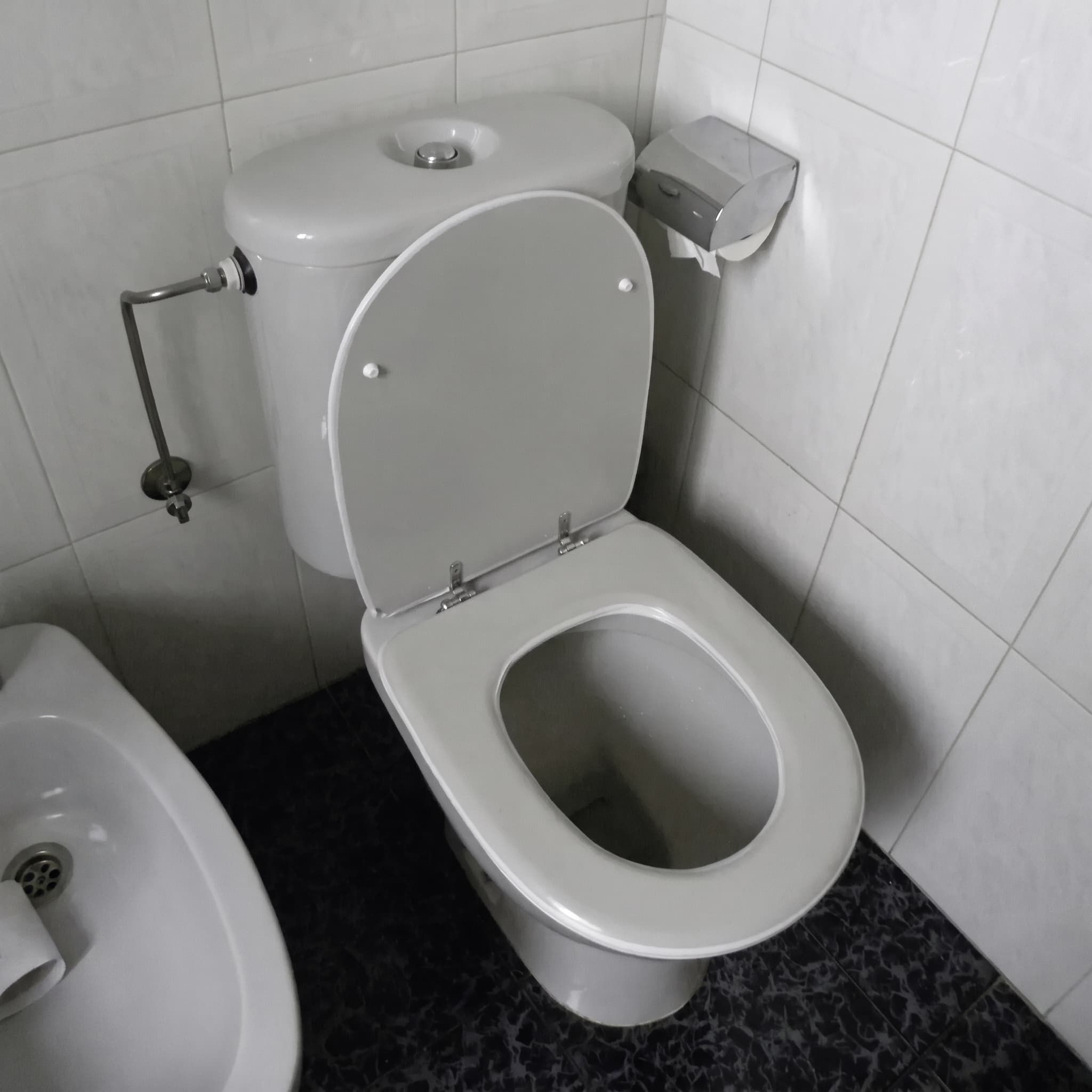 Tapa WC Compatible Domo de Sangrá