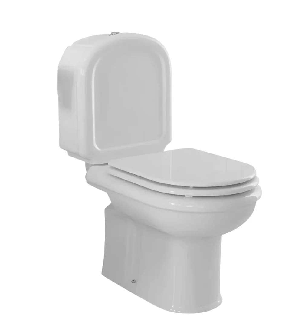 Tapa Wc compatible Regina de Sanitana