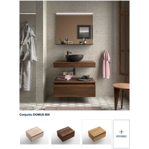 Mueble de baño suspendido Salgar Encimera Domus + complementos 60-120