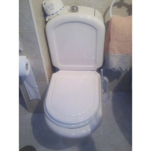 Tapa Wc compatible Regina de Sanitana - Imagen 3